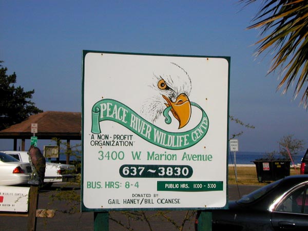 Volunteers take care of injured animals. A great community project